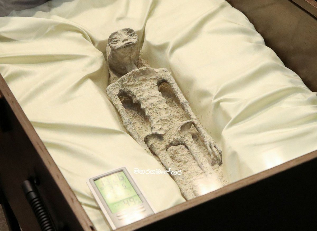 හඳහනේ පෘථිවියෙන් අපලයි කියල තිබුන ඒව මොන බොරු ද කියල පියාඹන පීරිසේ ඩ්‍රයිව් කරන්න අරං ටික වෙලාවකින් :