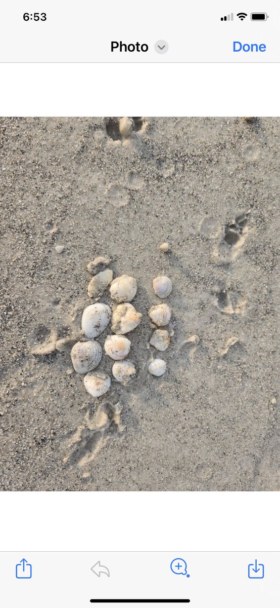 Two of my students creating arrays while at the beach. <a href="/pascoschools/">Pasco County Schools</a> <a href="/ngrahamjr/">Norman Graham Jr</a> <a href="/QHESPasco/">Quail Hollow Elem</a> <a href="/KaraSmucker/">Kara Smucker</a>
