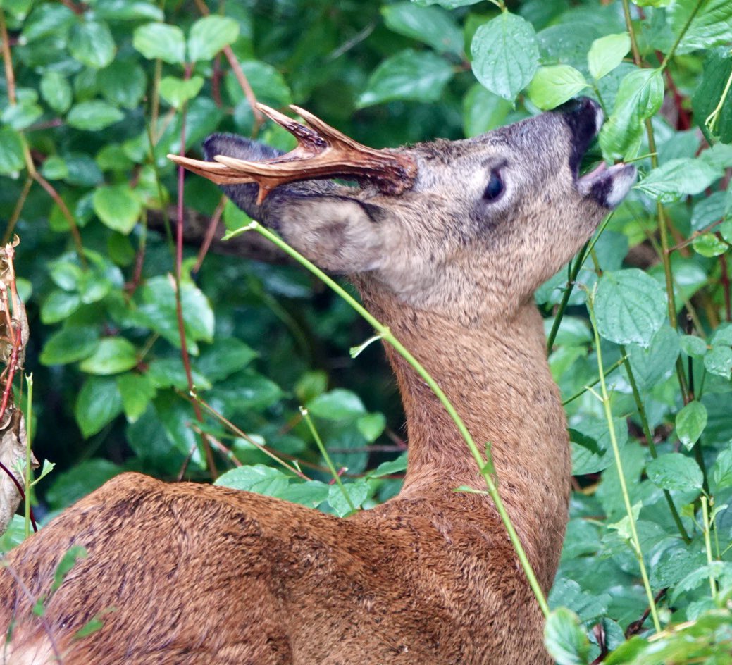 Sam Parish tweet media