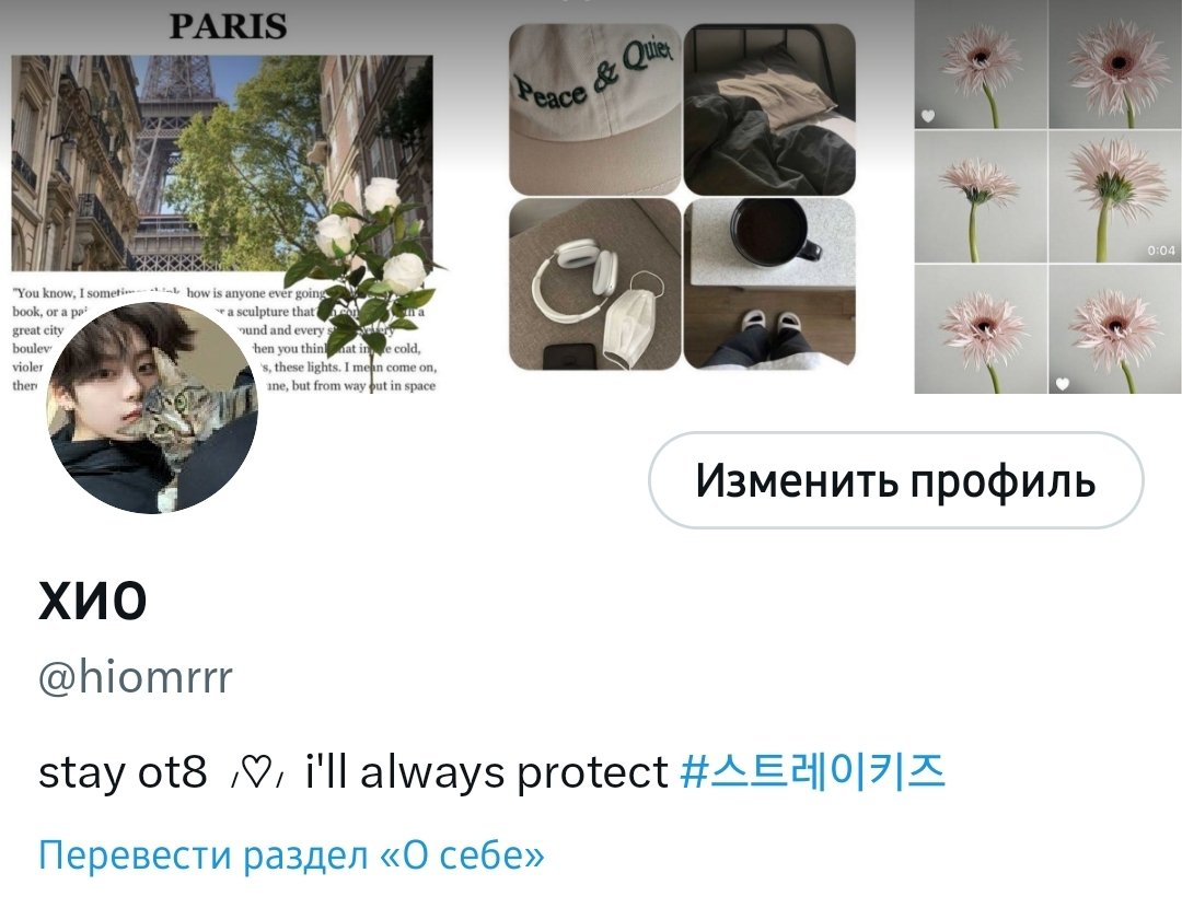 с днем новой оформы 🥳