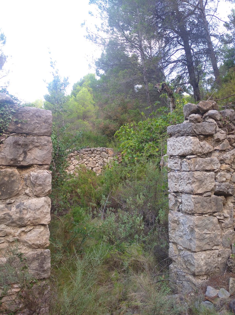 Ximo_botepas's tweet photo. 🚶⛰️🏚️Matí de corrals per Alcoleja amb el Centre d'Estudis Contestans.

 📝📏📷💪🏼Inventariant corrals del Comtat.
#patrimoni #oblidat #corrals #pastors #Alcoleja #CEC #XARQ

@xarq_divulgacio https://t.co/zHoAlvthS6