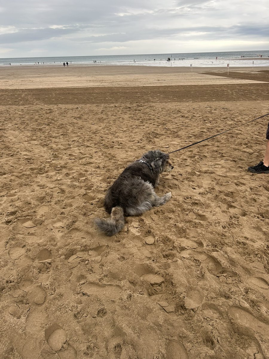 Whoo-Hoo Aunty Sue 👋 xx