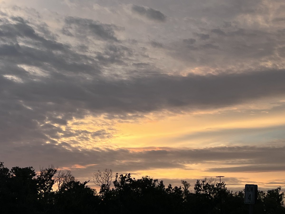 Lela (@lela65117550) on Twitter photo 