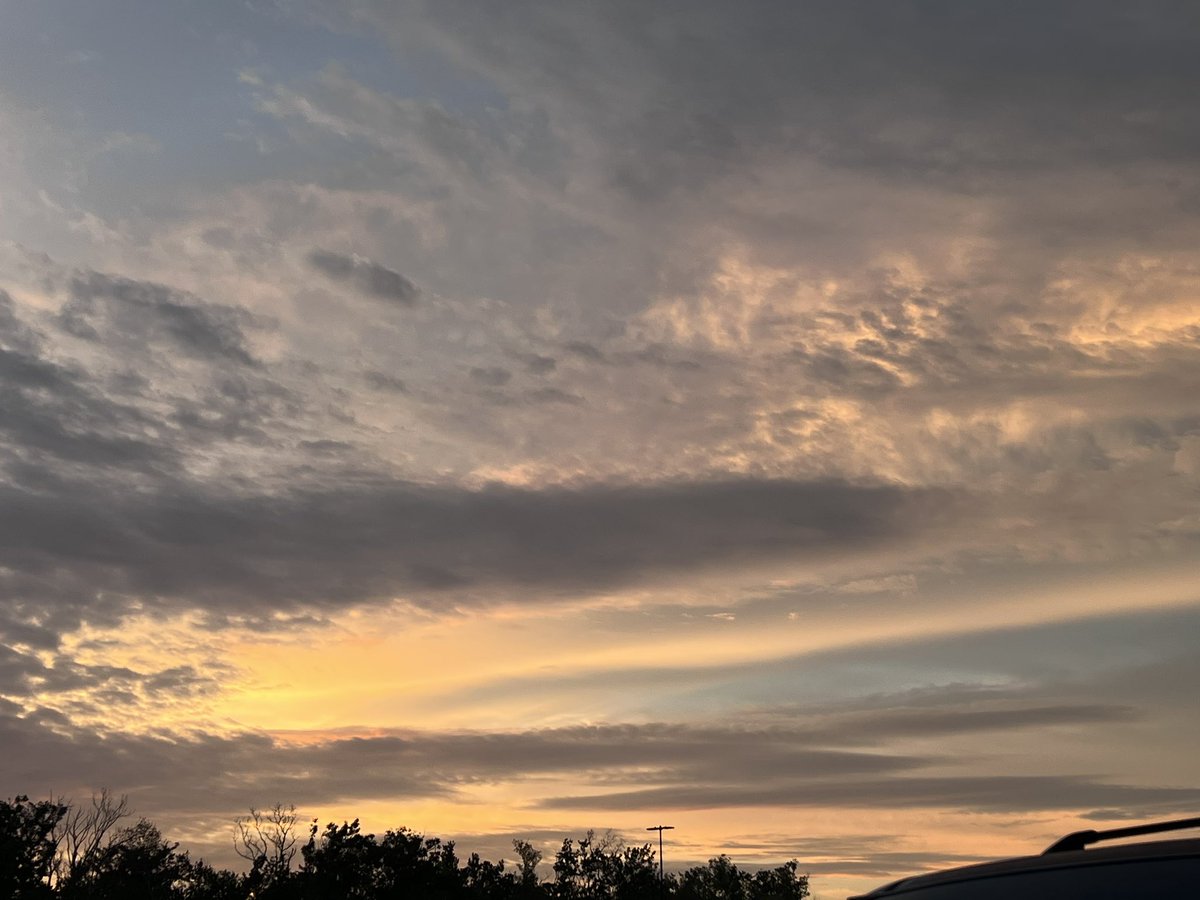 Lela (@lela65117550) on Twitter photo 