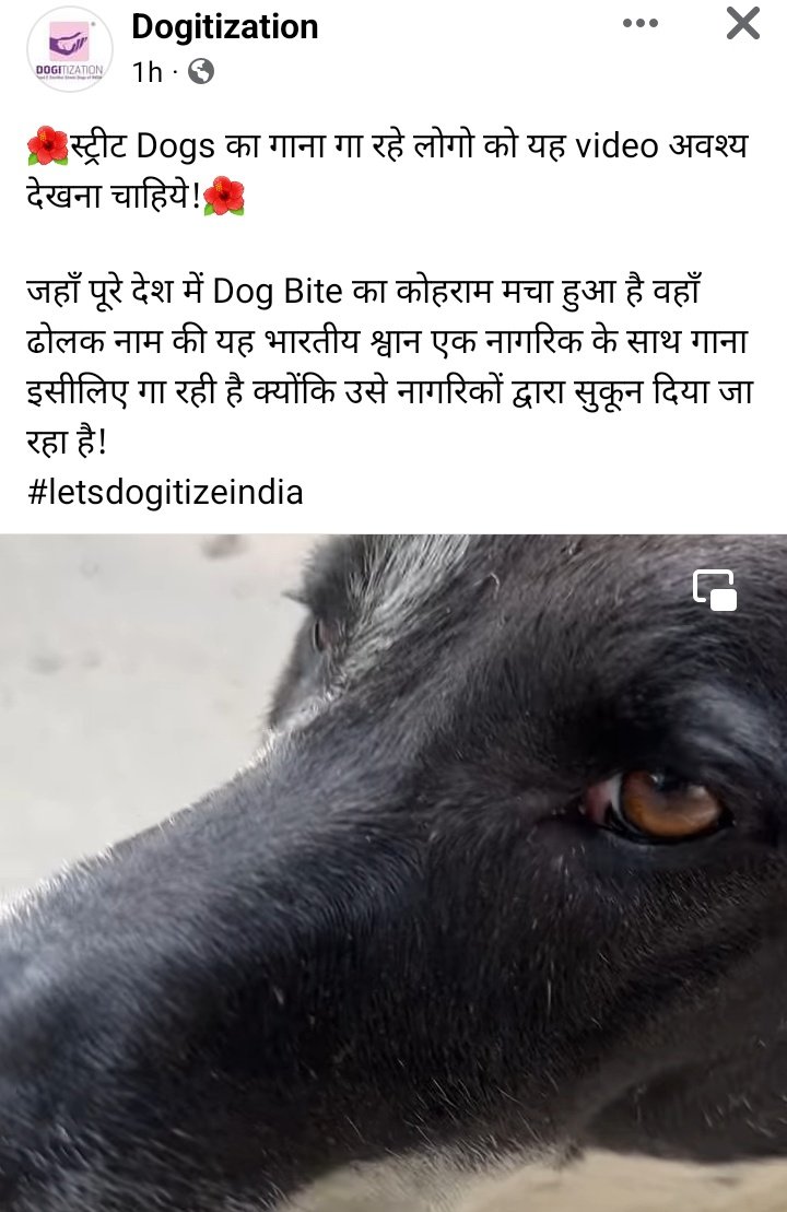 We human beings START THE cycle of violence!!! Let’s learn to understand and befriend our street animals and make life better for all of us !!!
#HappyBdayModiJi 
#SterilizationInRabiesOut
#NoMore50
#AyushmanBhav
@dogitization @tarana2510 @narendramodi @AmbikaShukla15
