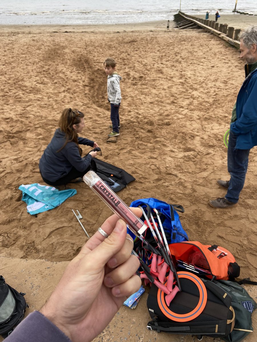Found at portobello beach on this mornings #greatbritishbeachclean <a href="/weekates88/">Katie Macfarlane</a> <a href="/mcsuk/">Marine Conservation Society</a> <a href="/LessWasteLaura/">Laura Anderson (Young)</a> #BanDisposableVapes