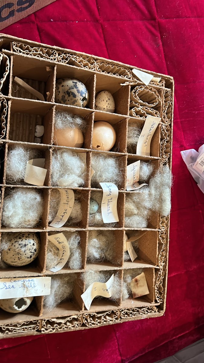 Poolbeg Egg Box irishpostalheritagegpo.wordpress.com/2015/09/11/poo…