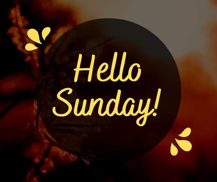 Wishing you a beautiful Sunday full of happy moments and memories to cherish. 😀
#seocontentwriter #blogpost #webcontentwriting #uxwriter