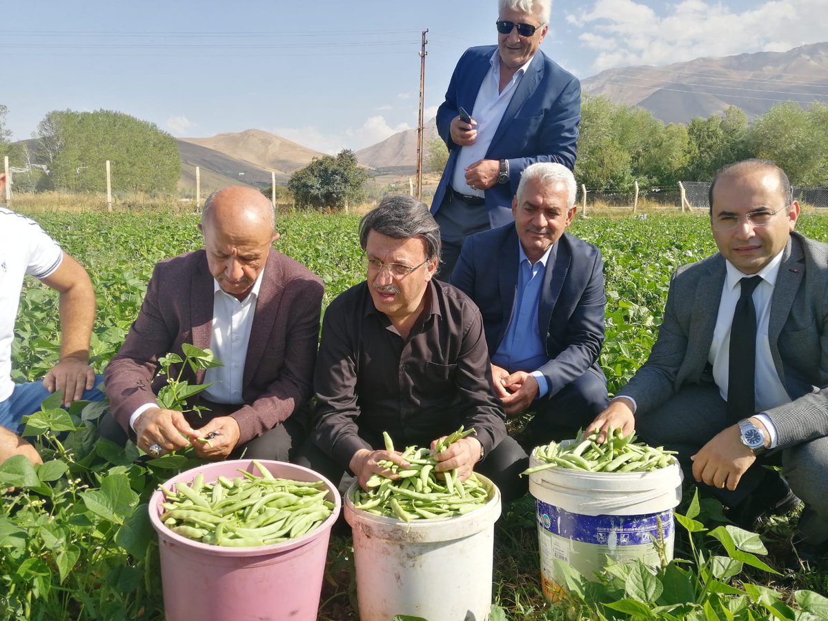 Eğriye eğri doğruya doğru diyeceğiz. Resimde fasulye hasadına katılan kişi AK Parti Van Milletvekili Kayhan Türkmenoğlu. Buna bir de fabrika gezisi eklemiş. Normalde Yeşil Sol Parti Milletvekillerinin tarlalarda ve fabrikalarda olması gerekmez mi?