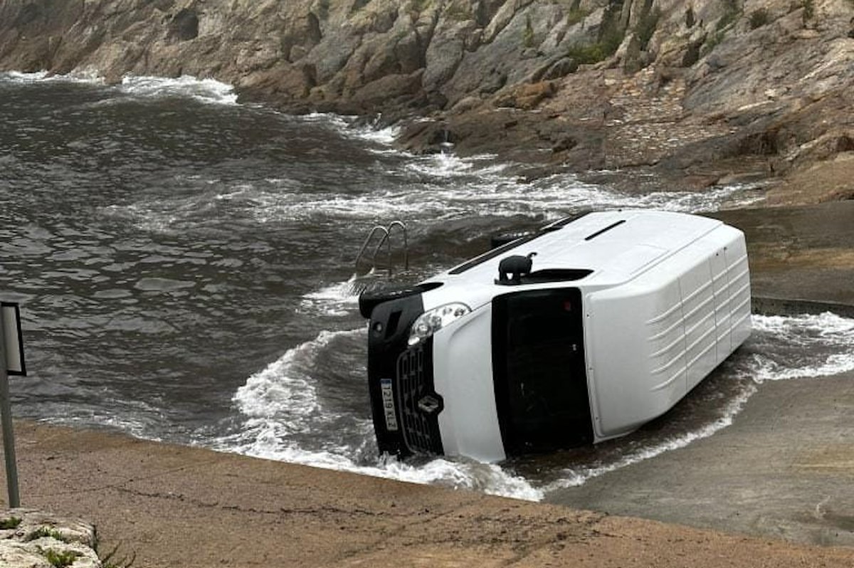 3CatInfo tweet media