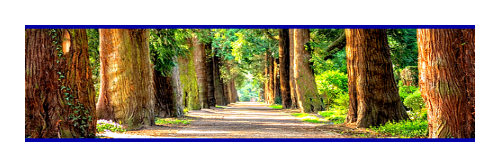 MT Washington Valley tweet media