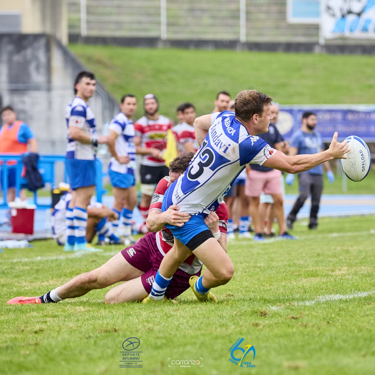 🔵🟡📸(4)🏉TORNEO PRETEMPORADA FRPA Clubes de Categoría Nacional 🔵⚪️PASEK BELENOS⚔️🔴⚪️GIJÓN RC⚔️🟢🟡LLANERA RUGBY ‼️Enhorabuena a todos y fuerza para toda la Temporada 23/24‼️ #RugbyAsturias #dxtasturiano @dxtasturiano @BelenosClub @Gijonrugbyclub @allrugbyllanera @GobAsturias