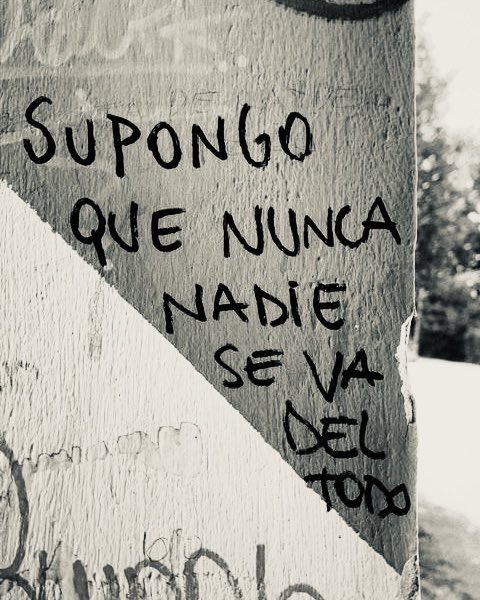 Dellafuente Vibes ‏۞ tweet media