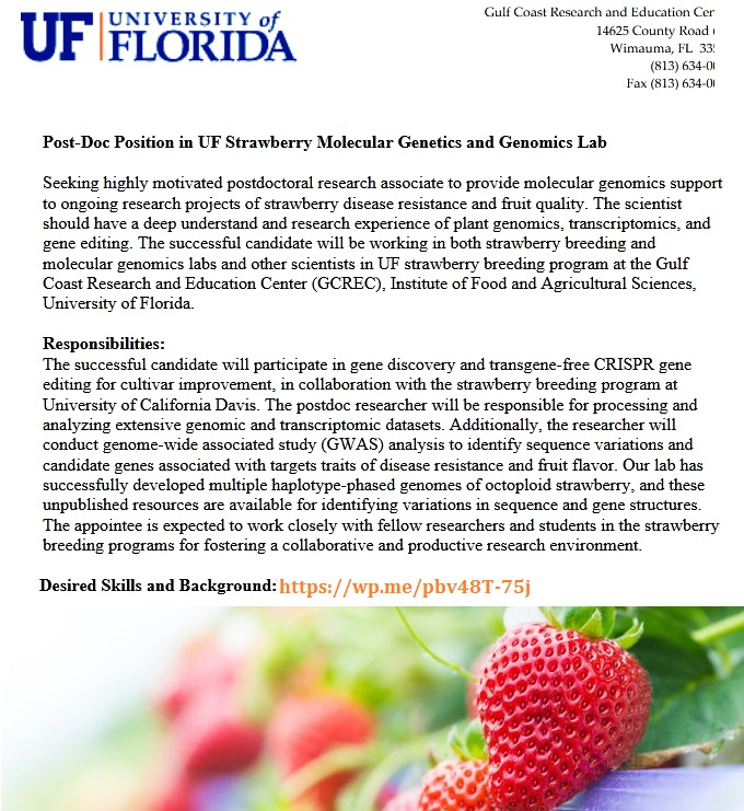 agristok's tweet photo. 📌 Post-Doc Position in Strawberry Molecular Genetics and Genomics Lab at University of Florida, United States 🇺🇸... Please share and spread the word! For details visit: https://t.co/XEQfafmz8q https://t.co/wIBsaVkdgN
