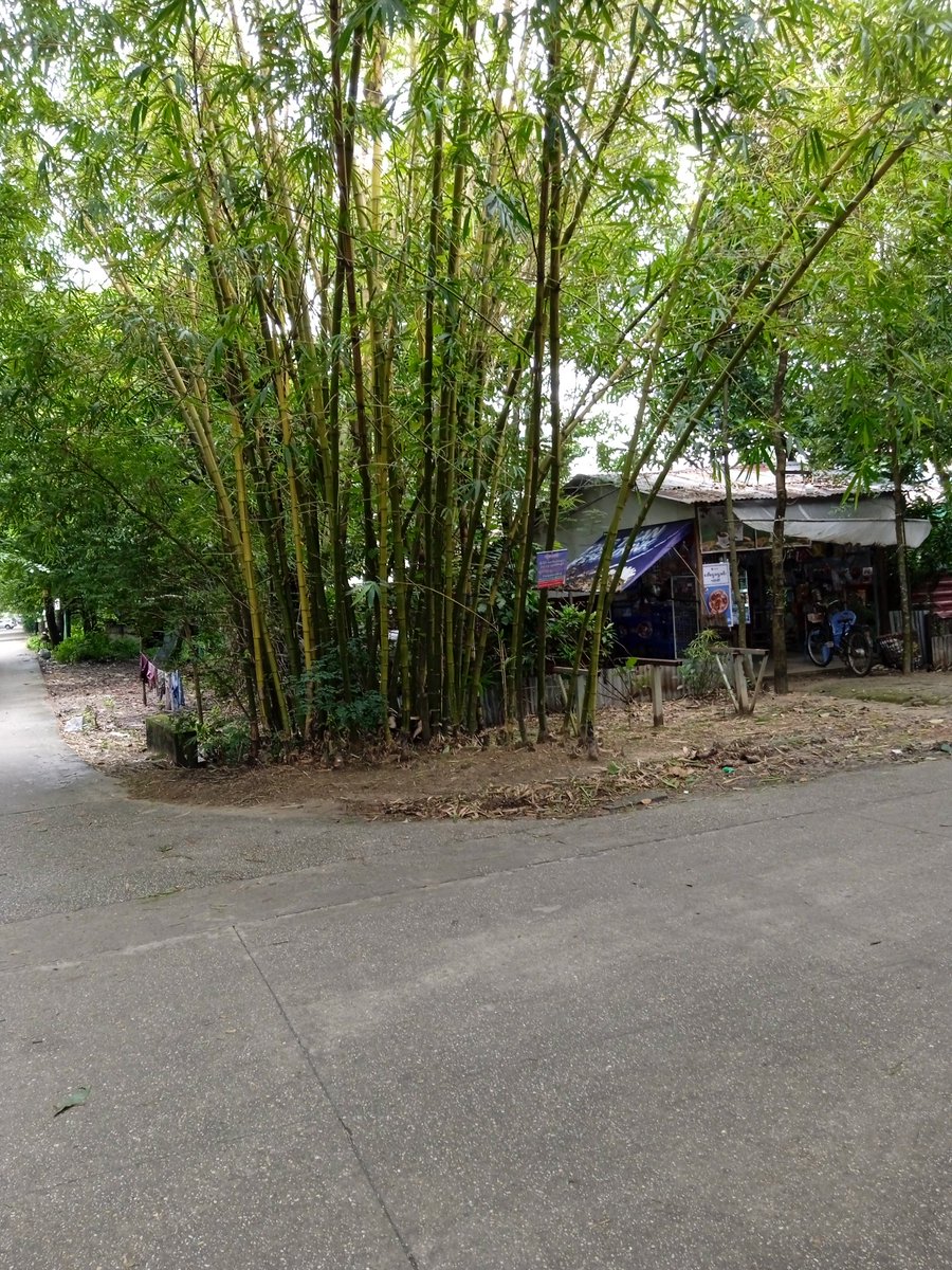 DmyatlinK's tweet photo. Yangon, Myanmar https://t.co/XsOB6p3uWZ