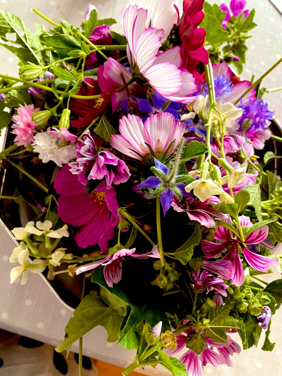 StCaradog's tweet photo. Our occupational therapist Jas has pressed flowers over the weekend to use for group work! Making the most of the summer flowers grown at home and in our ward flower box! #funtherapy #activityprep @HywelDdaHB https://t.co/RLTKqaHr0Z