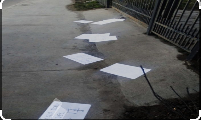 Pluma Gay tweet media