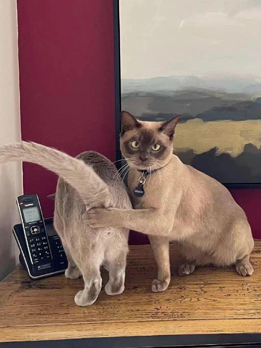 Hey, dont look at it please 😌