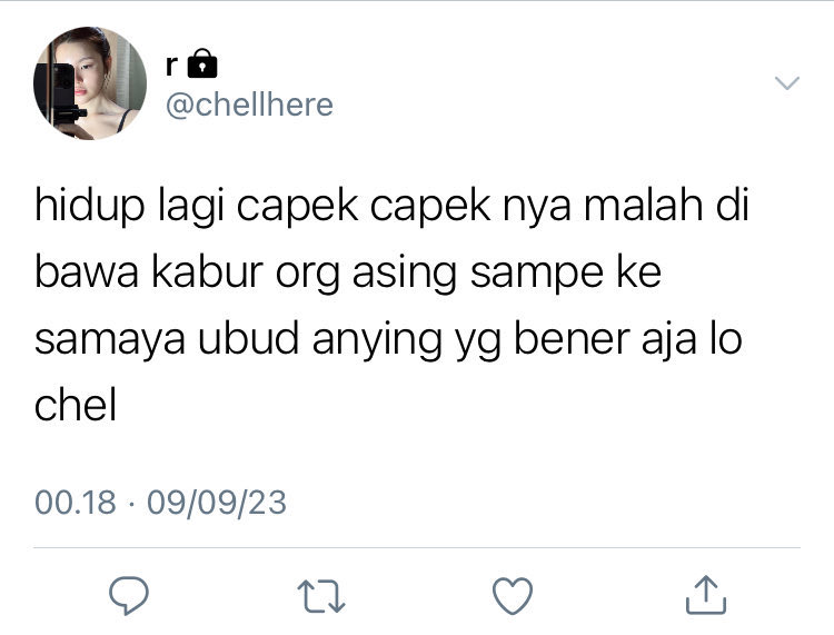 pipi tweet media