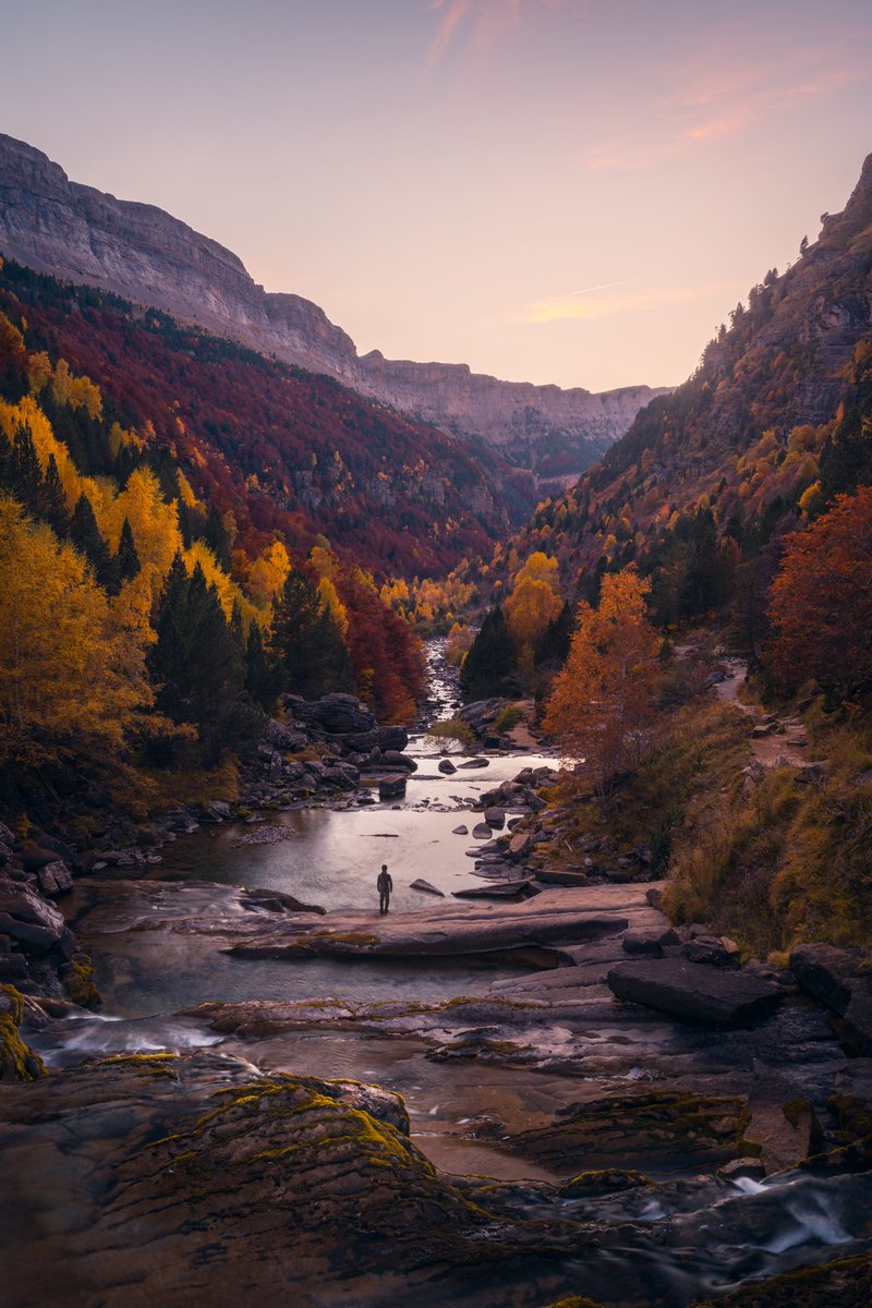 jmartinezmoran's tweet photo. Ya va quedando menos...☺ #otoño https://t.co/I4zTgVqBKw