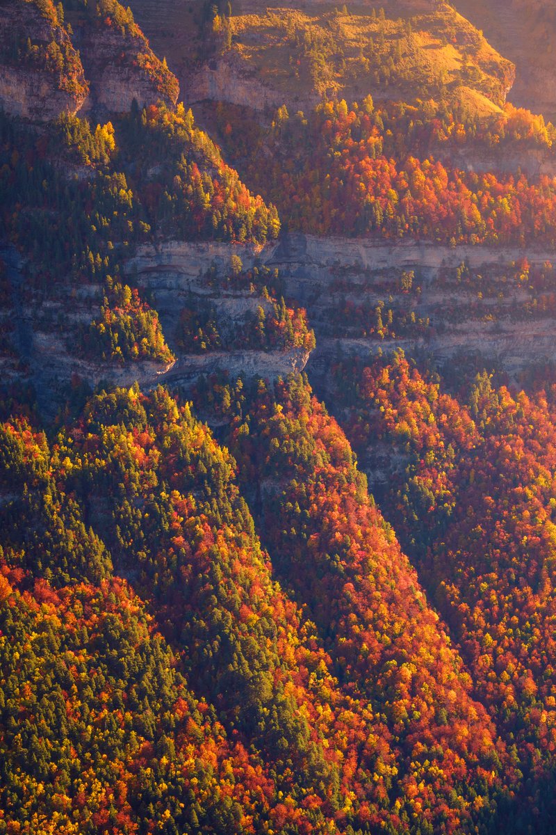 jmartinezmoran's tweet photo. Ya va quedando menos...☺ #otoño https://t.co/I4zTgVqBKw