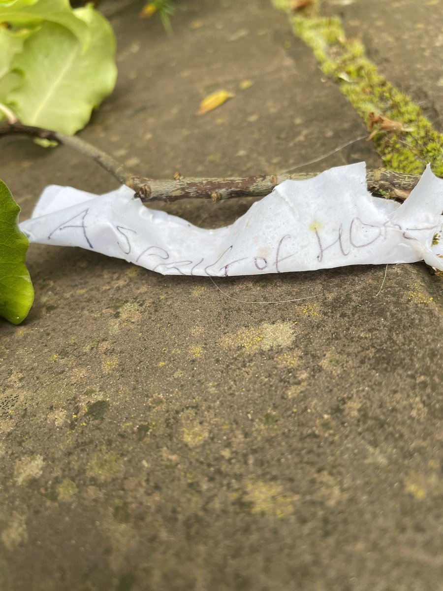 Just sat  watching the world go by I have choose what way my life goes  this is on the bench beside me