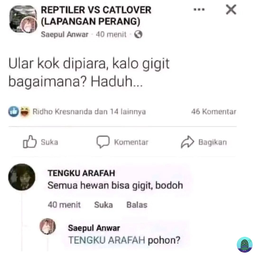 Tanyarl 💚 tweet media