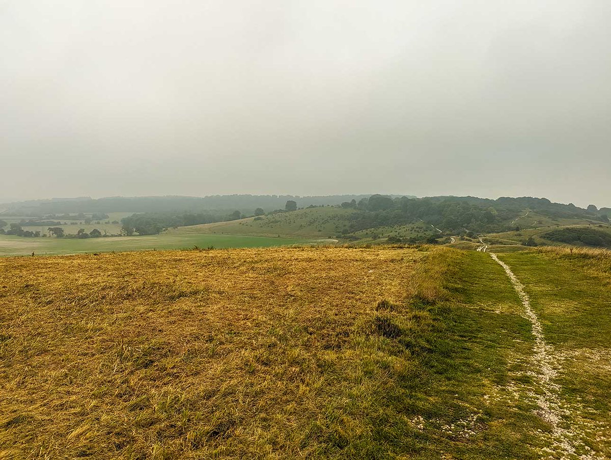 MyPAWfectPlace tweet media