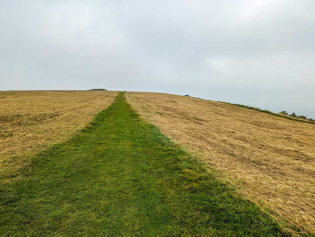 MyPAWfectPlace tweet media