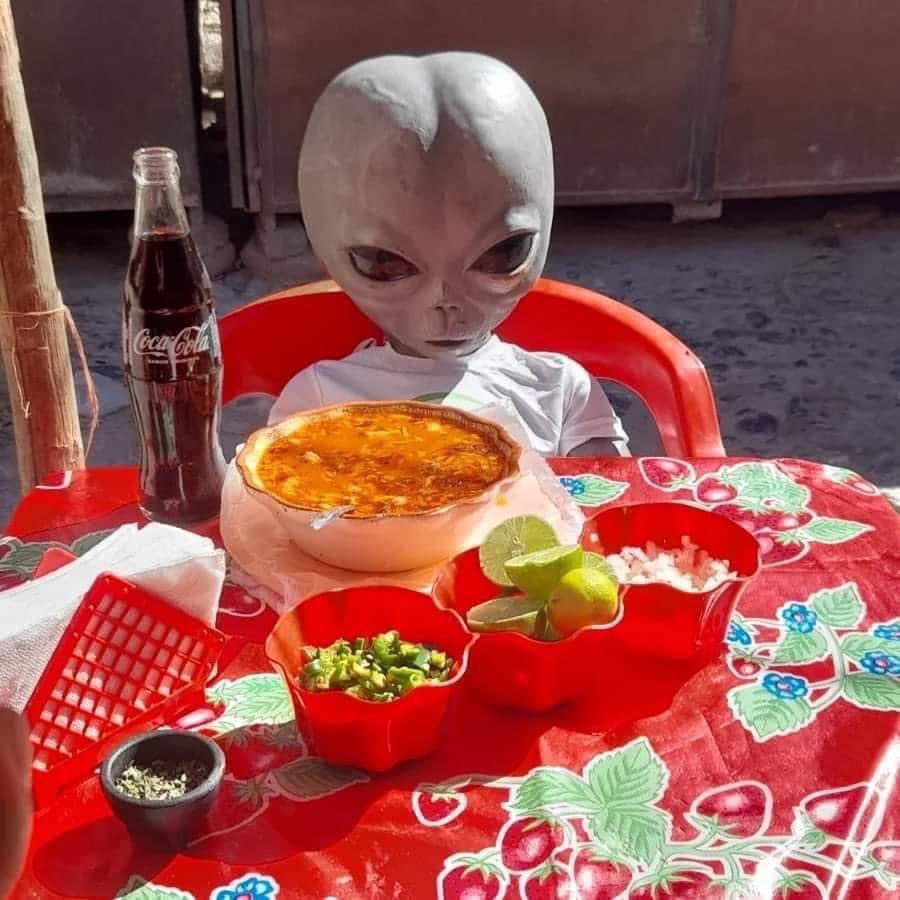 No pos esta cabron me levante con la cruda