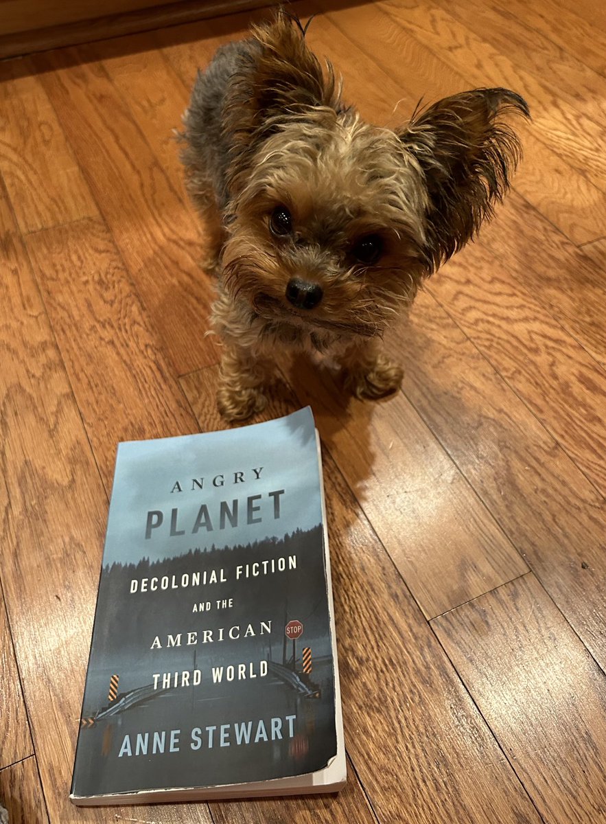 sbalkan5's tweet photo. Reviewing this brilliant book by ⁦@laneswimming⁩ was an absolute joy—love The Intuitionist :). https://t.co/IceakQnFAY      #climate #angryplanet #energy https://t.co/MhuHb66WOK