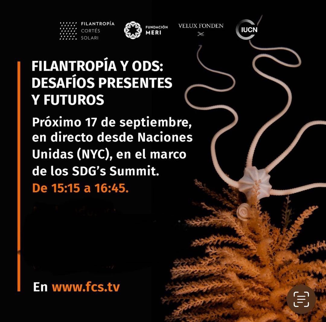 Fundación MERI tweet media