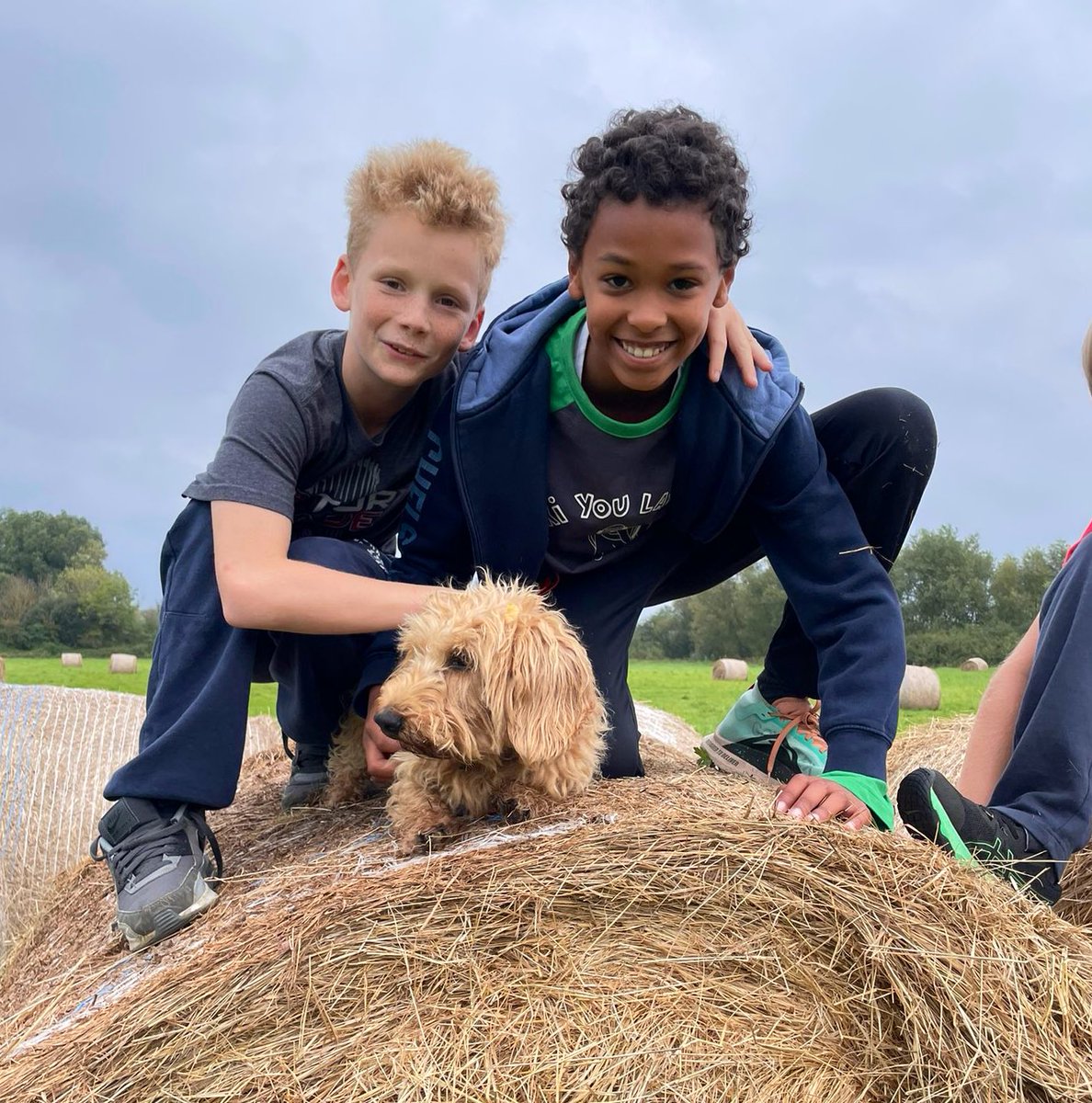 SFSOxford's tweet image. Wilbur had lots of company on his walk this morning. #dogwalking #ILoveBoarding #BoardingWeekend