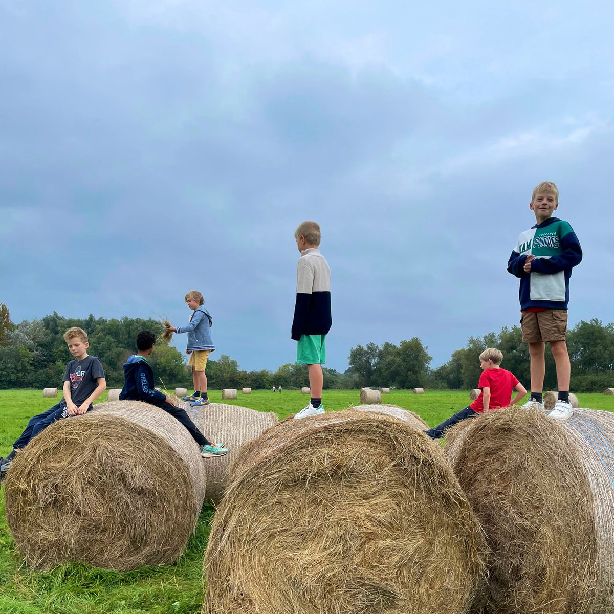 SFSOxford's tweet image. Wilbur had lots of company on his walk this morning. #dogwalking #ILoveBoarding #BoardingWeekend