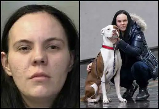 Please retweet JADE JARVIS CONVICTED OF COMMITTING UNNECESSARY SUFFERING TO HER DOG HUGO, XL BULLY CROSS, AND OTHER OFFENCES #LIVERPOOL #UK Sept 13, caught on CCTV in a deranged outburst, hitting her dog in the head twice at a homeless shelter, the dog was visibly shaking and…