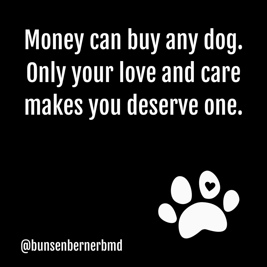 Bunsen, Beaker, Bernoulli & Brix tweet media