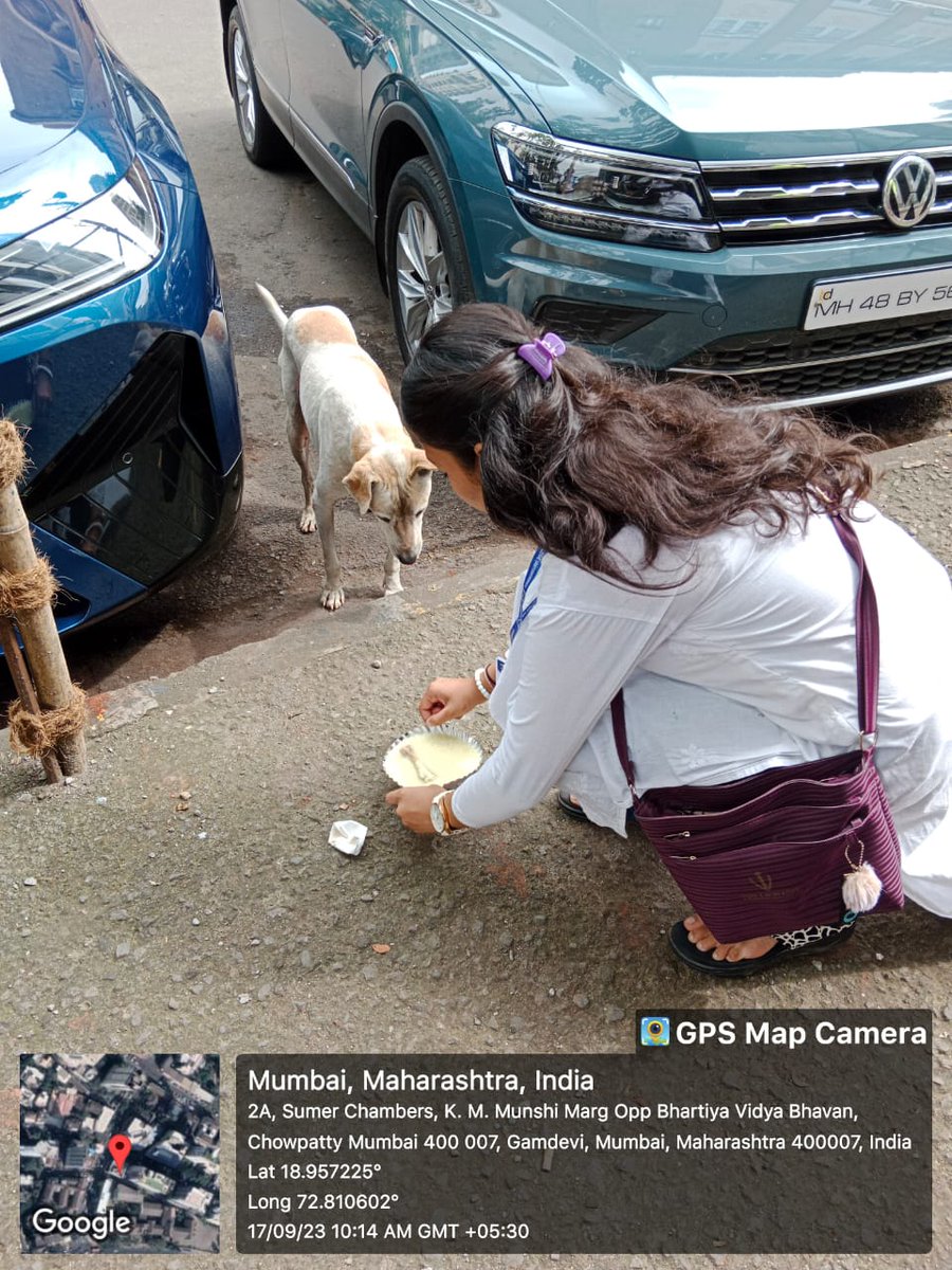 9th session of Stray Animal Feeding Drive conducted by NSS Unit✨️
#strayanimalfeedingdrive #voiceofvoiceless #strayanimalmatters #nss #nssunitofwilsoncollege #Mumbai #maharastra