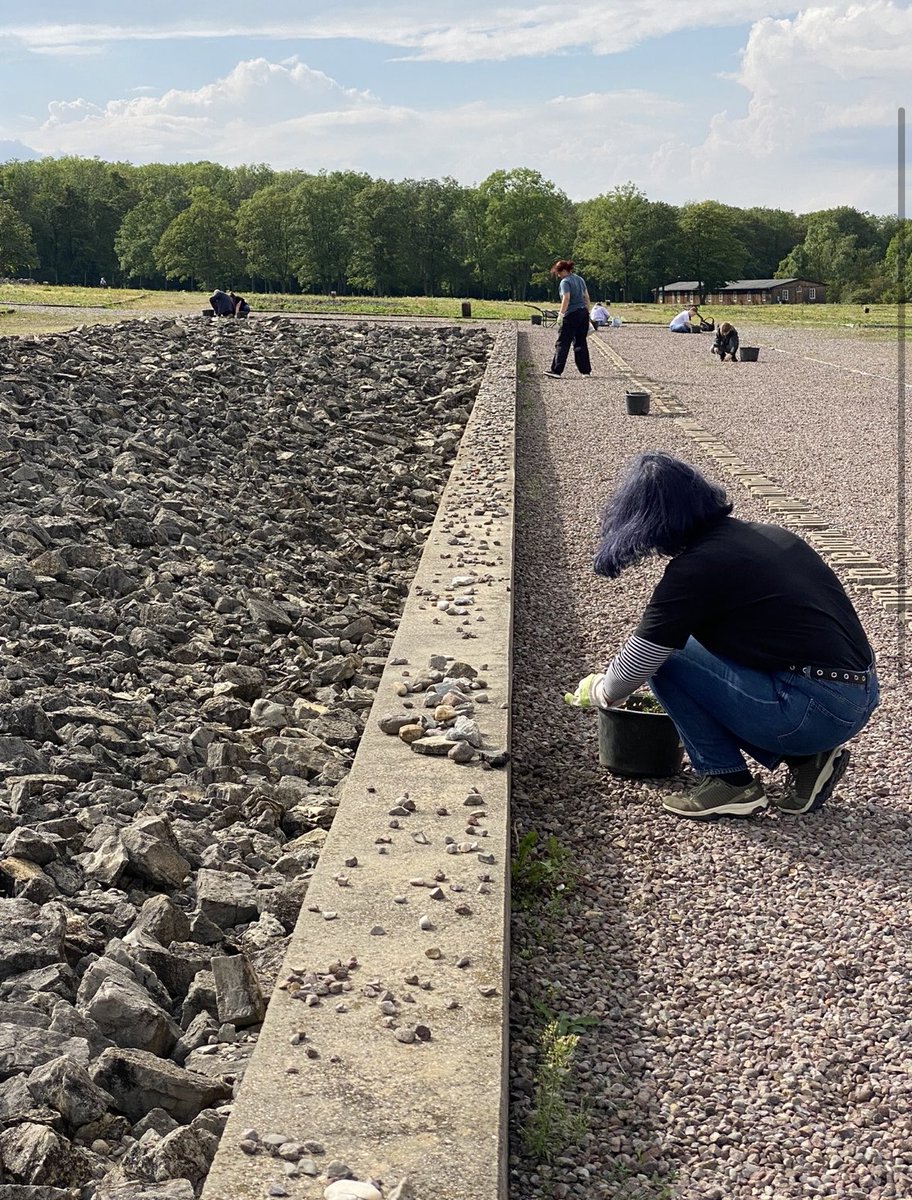 Stiftg. Gedenkstätten Buchenwald u. Mittelbau-Dora tweet media