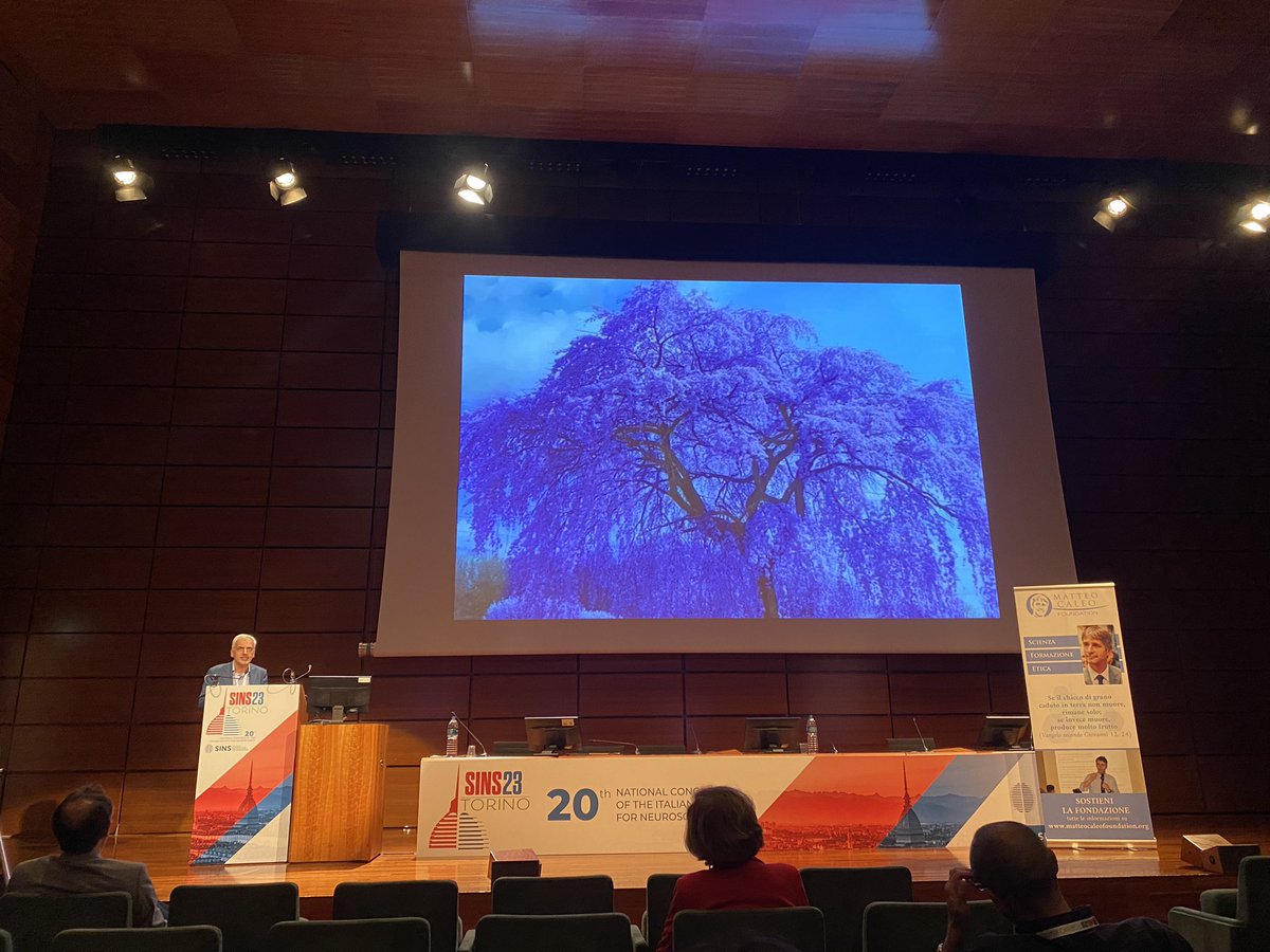 Giorgia Iegiani tweet media