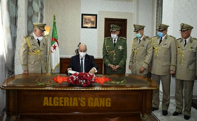 MarrakchyaHiba's tweet photo. @USAmbtoAlgeria Serving #Algier's gang https://t.co/TyaVijB4Zz