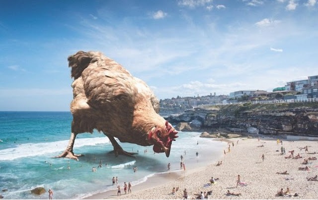 Rooster Pisces tweet media
