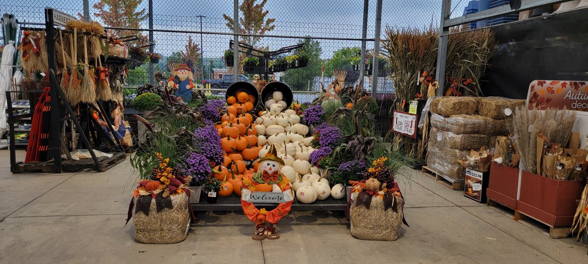 Melissa Richmond tweet media