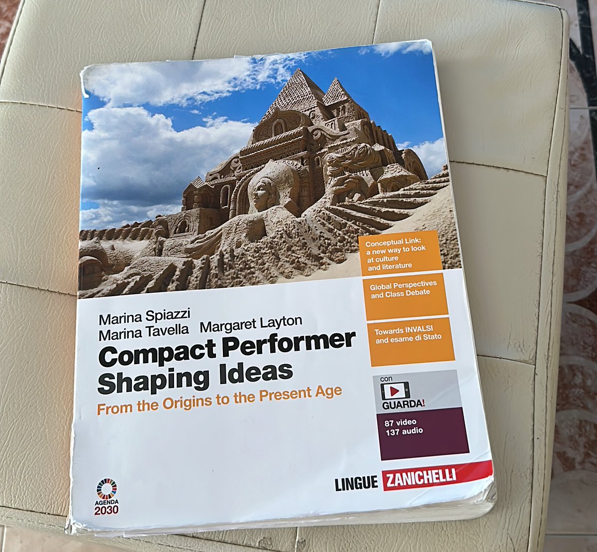 qualcuno ha questo libro? non riesco a fare un esercizio e nessuno nella mia classe l’ha fatto e siamo gli unici ad averlo a scuola vi prego help me