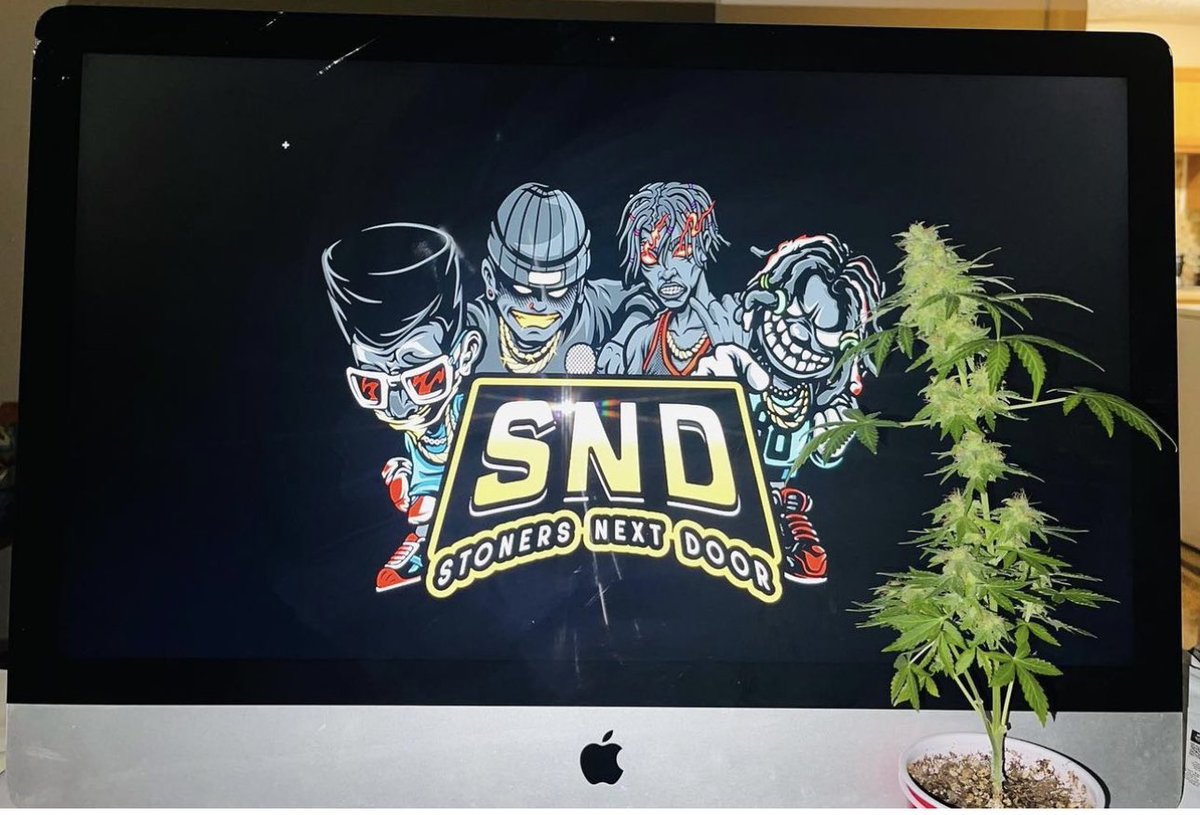 High! Gotta enjoy your Sundaze!

Cannabis makes a great desktop plant. Follow me for more grow adventuresand ramdomness. #stonersnextdoor #Mmemberville #420community #jgyo #CannabisCommunity
