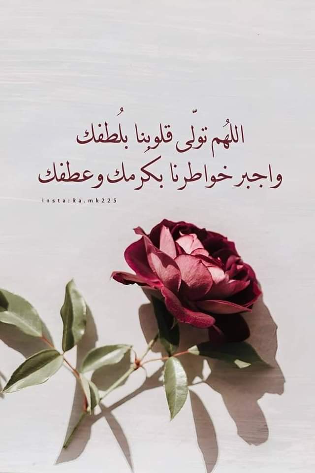 حنين الروح tweet media