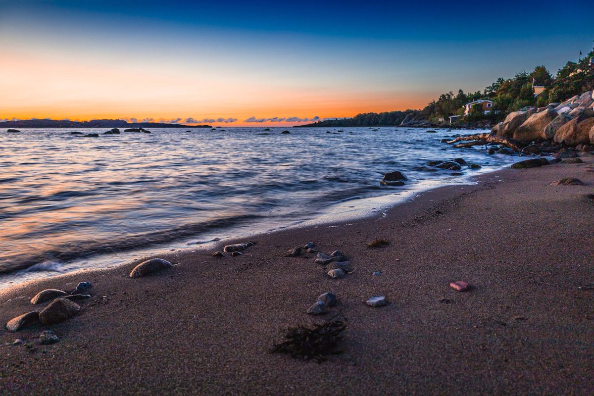 📷📷Good Morning World!📷📷
                                                    
Check out our daily top 8 artists on #Hive

▫️ Round 1533  
▫️ Image by fotonorway8

peakd.com/hive-153349/@p…

#photography #hive #hiveworks #hiveblog #HIVETwitter #photo #artist #photofeed $hive