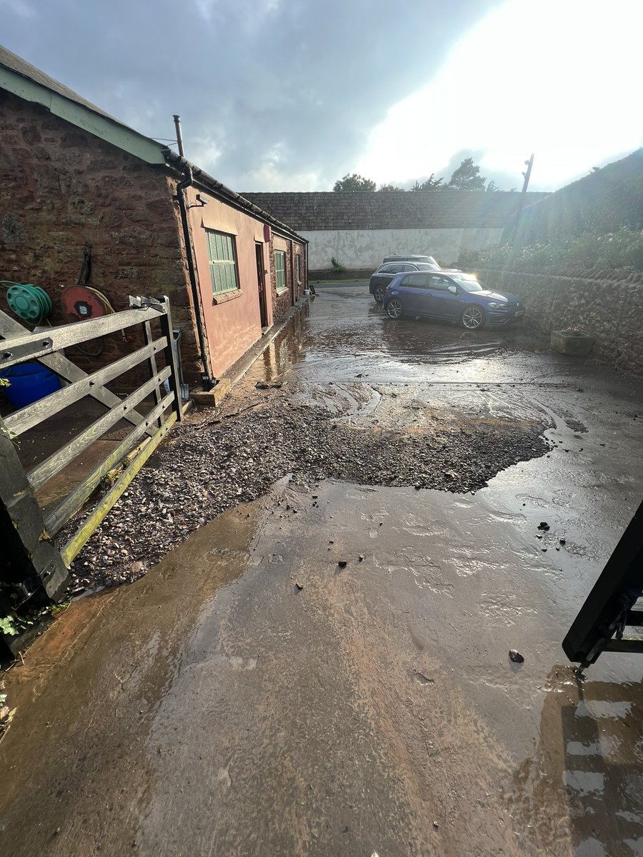 richardpayne94's tweet photo. In all my 60 years, I can’t remember having 4” rain within a 24hr period.
Shallow cultivations have washed, deep ones seem to be ok. Neighbour has spuds washed out onto the road! https://t.co/PcuNfepxRA