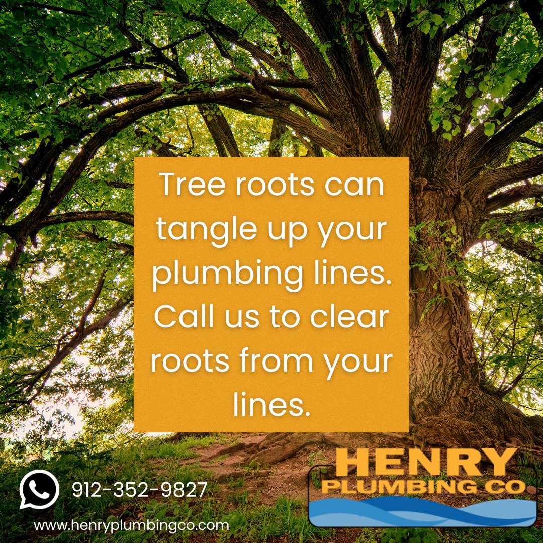 henry_plumbing's tweet photo. When roots try to wreck your plumbing ask us about our RootX solutions!
#HenryPlumbingCompany
#Plumbers
#Rootx https://t.co/qXkCTE0eZ0
