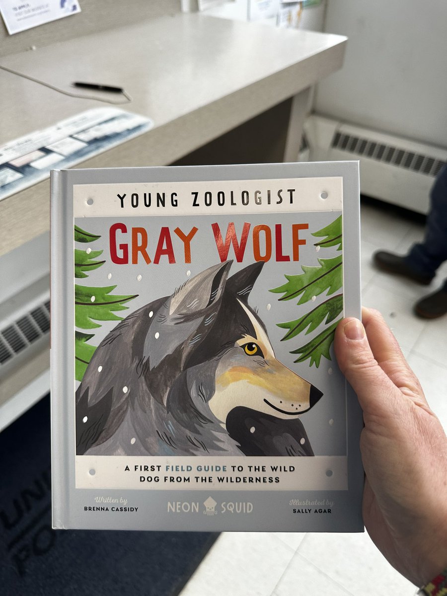 FrozenBiologist's tweet photo. It came! 

A fully grown wolf biologist with a children’s book about wolves! I love it!

@BrennaJCassidy https://t.co/UFMSHyUVhv