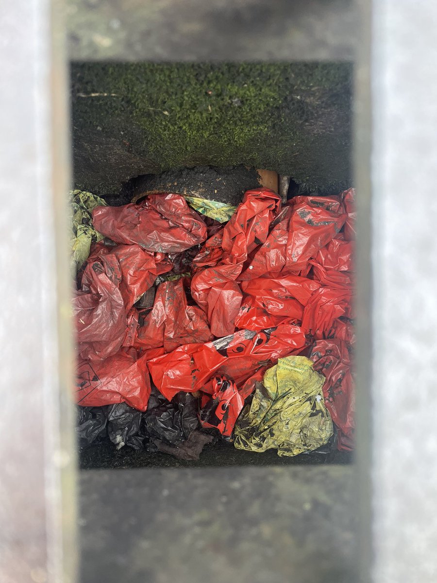 Kylebjournalist's tweet photo. Littering of dog waste bags in Waterford City was raised by councillor Frank Quinlan to WLR news over the weekend.

Tune into our hourly bulletins from tomorrow to hear more on this story. https://t.co/oiC2HT7Ydo